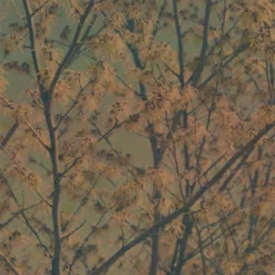 Polaroid Store 36 Polaroid Store -Polaroid Store 11 4stops f8 1 30sec