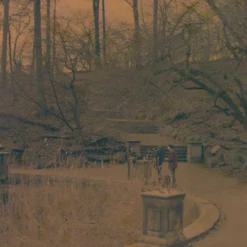 Seagull IR100 :: Color (expired) -Polaroid Store 40 1stop f5.6 1 30sec