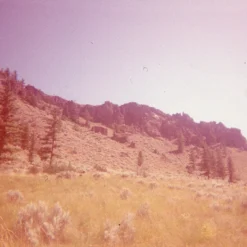 Expired Film :: Triple Packs -Polaroid Store 50575806818 75ae574a9a k