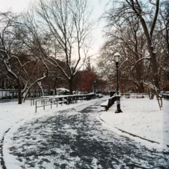 Flic Film Aurora 400 :: Color 10 Flic Film Aurora 400 :: Color -Polaroid Store Aurora400 BirgitBuchart 02