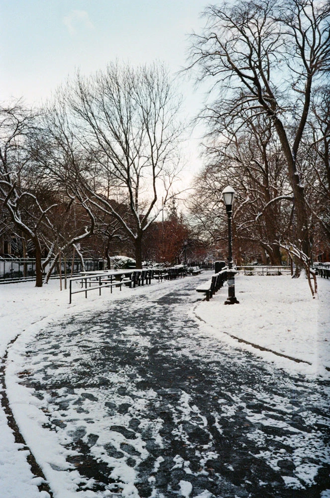 Flic Film Aurora 400 :: Color 6 Flic Film Aurora 400 :: Color - Image 4