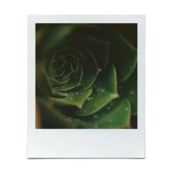 Macro Lens Set 37 Macro Lens Set -Polaroid Store BrendonParkerMarco1