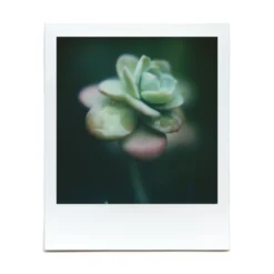 Macro Lens Set 34 Macro Lens Set -Polaroid Store BrendonParkerMarco2