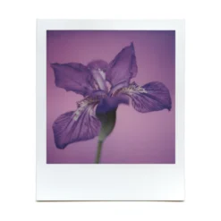 Macro Lens Set 35 Macro Lens Set -Polaroid Store BrendonParkerMarco3