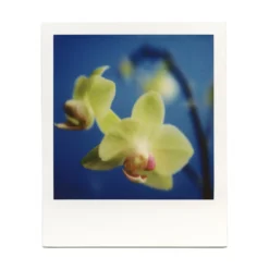 Macro Lens Set 40 Macro Lens Set -Polaroid Store BrendonParkerMarco7