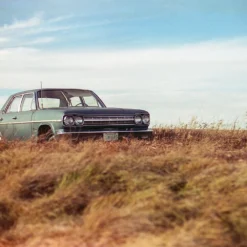 Freestyle Cinestill 50D :: Color 15 Freestyle Cinestill 50D :: Color -Polaroid Store C50d