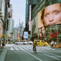 Freestyle Cinestill 50D :: Color 12 Freestyle Cinestill 50D :: Color -Polaroid Store C50d 3