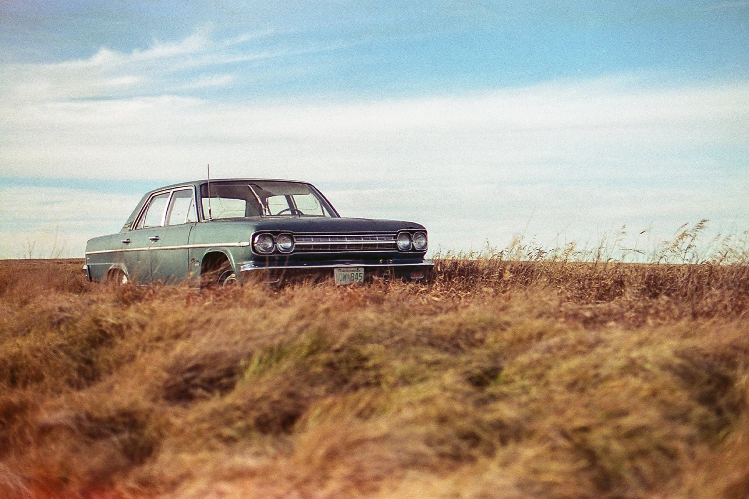 Freestyle Cinestill 50D :: Color 8 Freestyle Cinestill 50D :: Color - Image 6