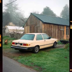 Freestyle Cinestill 50D :: Color 17 Freestyle Cinestill 50D :: Color -Polaroid Store CineStill 50D 120 Ben Fraternale 1