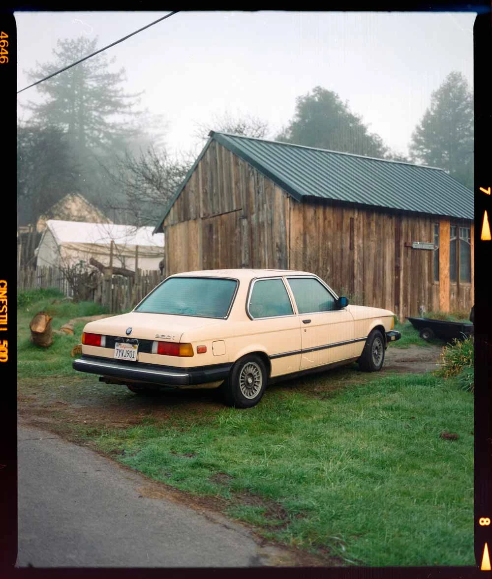 Freestyle Cinestill 50D :: Color 10 Freestyle Cinestill 50D :: Color - Image 8