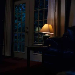 Freestyle Cinestill 800T :: Color -Polaroid Store Cinestill 800T 120 Shanna Hutchins 2