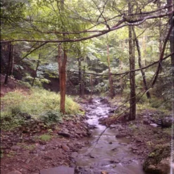 Unique Kodak E100 :: 4x5 :: Color -Polaroid Store Dan Hureria E100 4x5 1