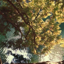 FujiFilm Fujicolor 200 :: Color -Polaroid Store Fuji 200 Shanna Hutchins 5