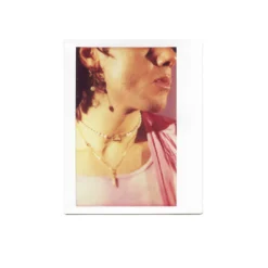 LomoGraflok 4×5 Instant Back -Polaroid Store Graflok Instant Back Ex Images 2