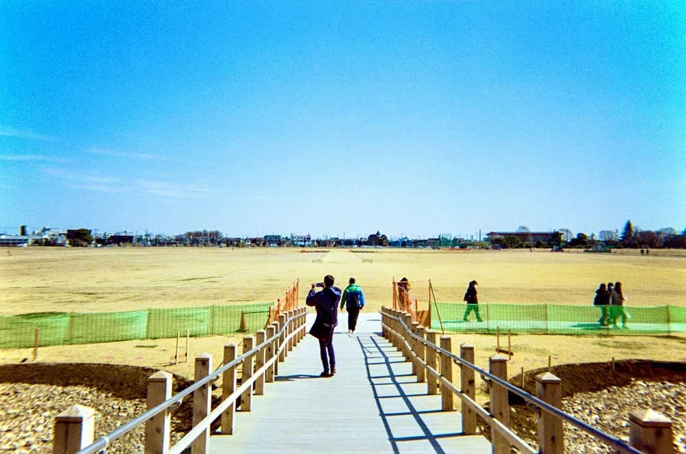 Ilford:: Color :: 35mm Single Use Camera 8 Ilford:: Color :: 35mm Single Use Camera - Image 6