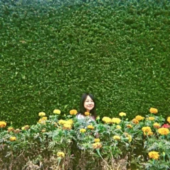 Ilford:: Color :: 35mm Single Use Camera 14 Ilford:: Color :: 35mm Single Use Camera -Polaroid Store Ilford SIngel Use Example 3