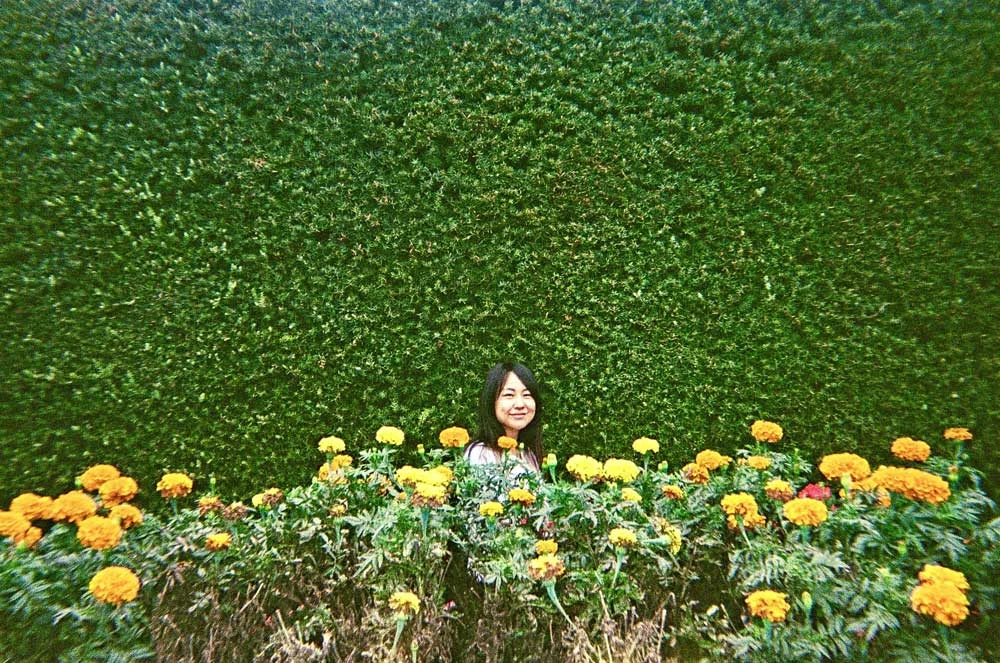 Ilford:: Color :: 35mm Single Use Camera 7 Ilford:: Color :: 35mm Single Use Camera - Image 5