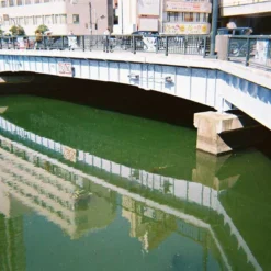 Ilford:: Color :: 35mm Single Use Camera 12 Ilford:: Color :: 35mm Single Use Camera -Polaroid Store Ilford SIngel Use Example 5