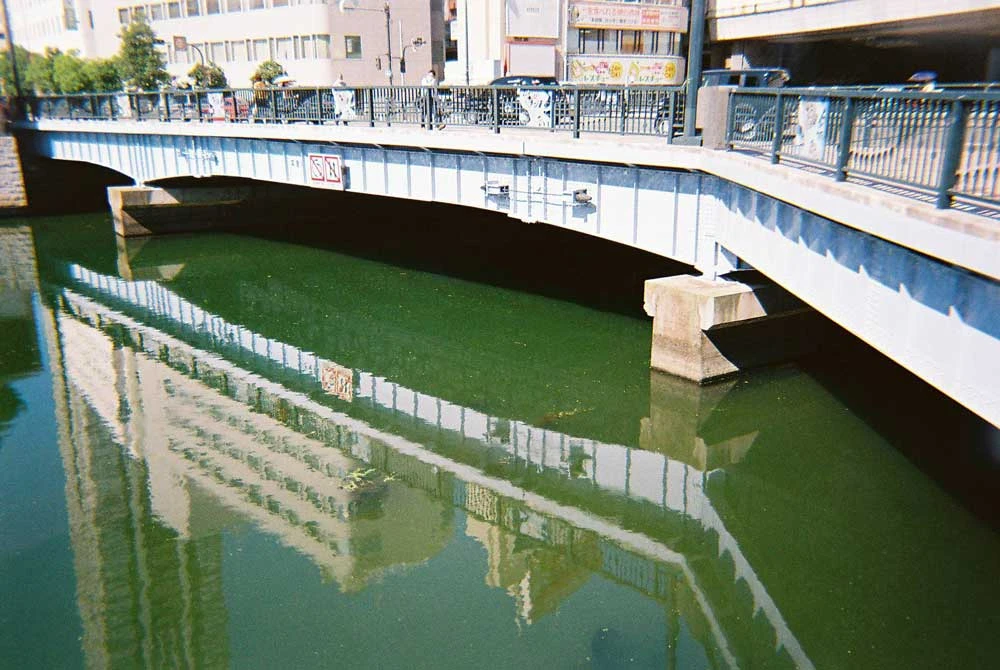 Ilford:: Color :: 35mm Single Use Camera 5 Ilford:: Color :: 35mm Single Use Camera - Image 3