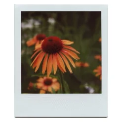 SX-70 Close-Up Lens :: Vintage Polaroid -Polaroid Store Image copy