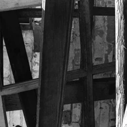 Unique Kodak Tri-X 400 :: B&W 14 Unique Kodak Tri-X 400 :: B&W -Polaroid Store Kodak TriX Shanna Hutchins 013