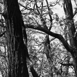 Unique Kodak Tri-X 400 :: B&W 13 Unique Kodak Tri-X 400 :: B&W -Polaroid Store Kodak TriX Shanna Hutchins 09