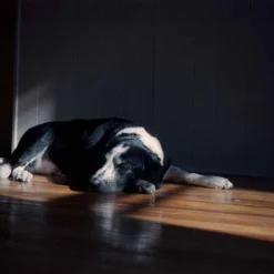 Polaroid Store 25 Polaroid Store -Polaroid Store Kodak UltraMax 400 35mm Shanna Hutchins 16