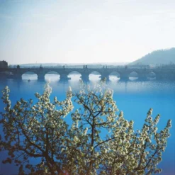 Lomography 400 :: Color -Polaroid Store Lomo 400 120 1