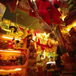 Lomography 800 :: Color -Polaroid Store Lomo 800 120 erina hirota