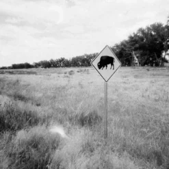 Lomography Lady Grey :: B&W -Polaroid Store Lomo Lady Gray 35mm Ben Fraternale 1