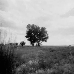 Lomography Lady Grey :: B&W -Polaroid Store Lomo Lady Gray 35mm Ben Fraternale 2