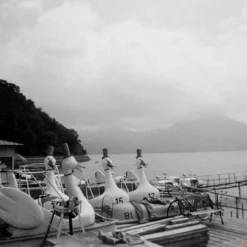 Lomography Lady Grey :: B&W -Polaroid Store Lomo Lady Grey 35mm erina hirota