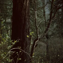 Lomochrome Metropolis 100-400 :: Color 14 Lomochrome Metropolis 100-400 :: Color -Polaroid Store Lomo Metropolis 120 Shanna Hutchins 08