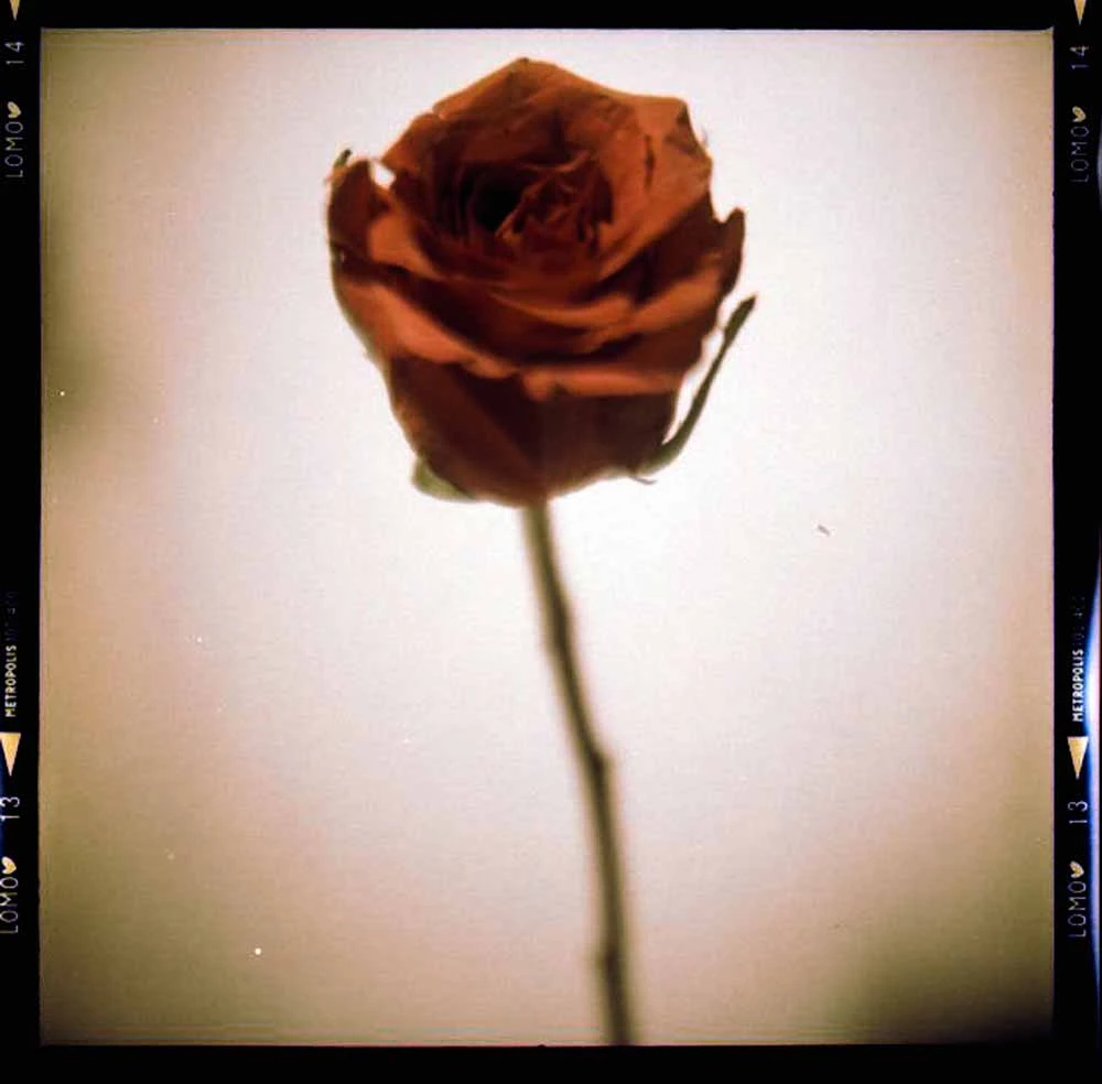 Lomochrome Metropolis 100-400 :: Color 9 Lomochrome Metropolis 100-400 :: Color - Image 7