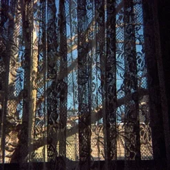 Lomography Tiger :: Color -Polaroid Store Lomo Tiger 110 Shanna Hutchins