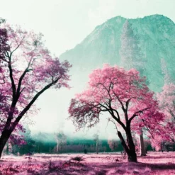 Lomography Purple :: Color 9 Lomography Purple :: Color -Polaroid Store Lomo brian lincoln purple