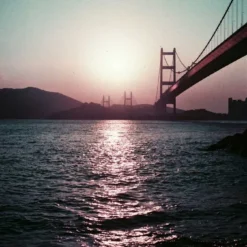 Lomography Purple :: Color 8 Lomography Purple :: Color -Polaroid Store Lomo esther hui purple