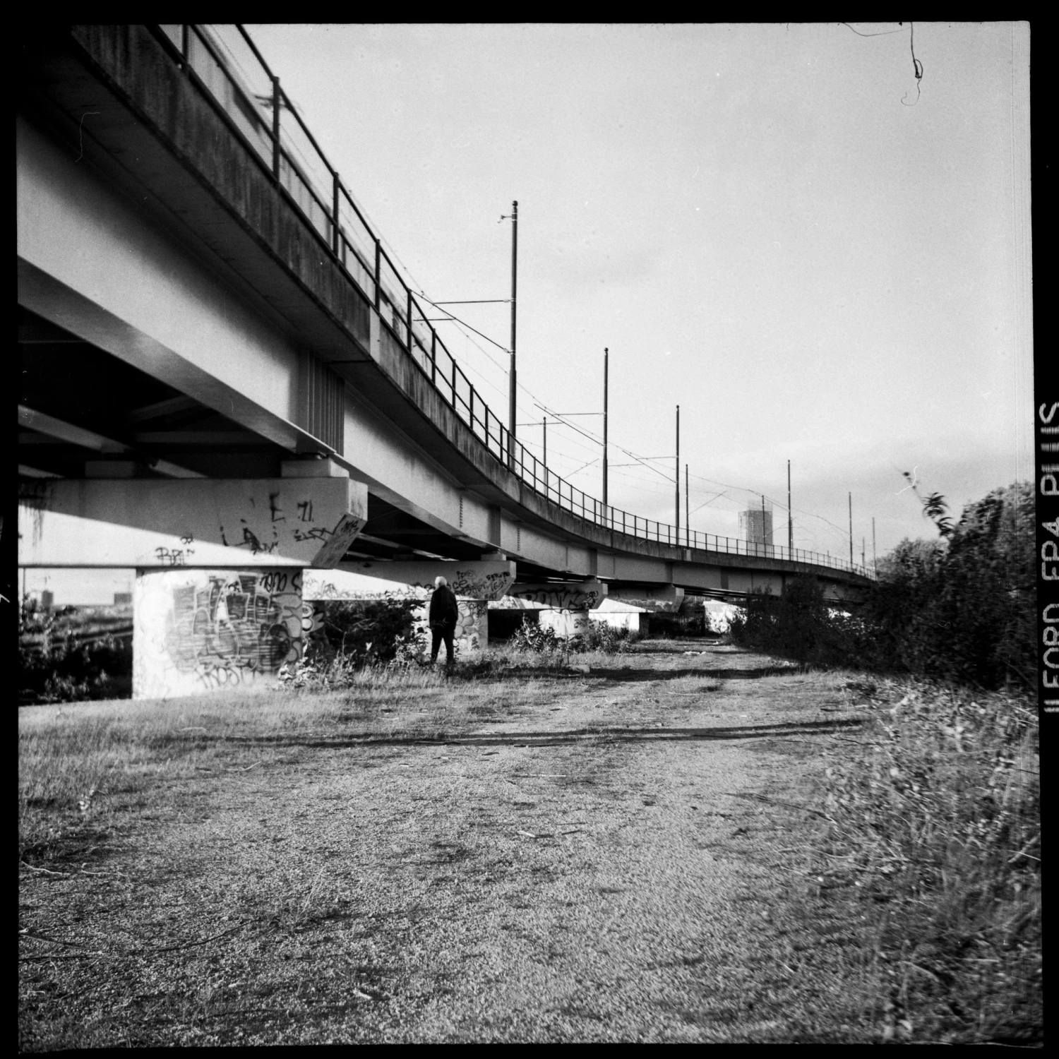 Lomo :: Lubitel 166B 11 Lomo :: Lubitel 166B - Image 9