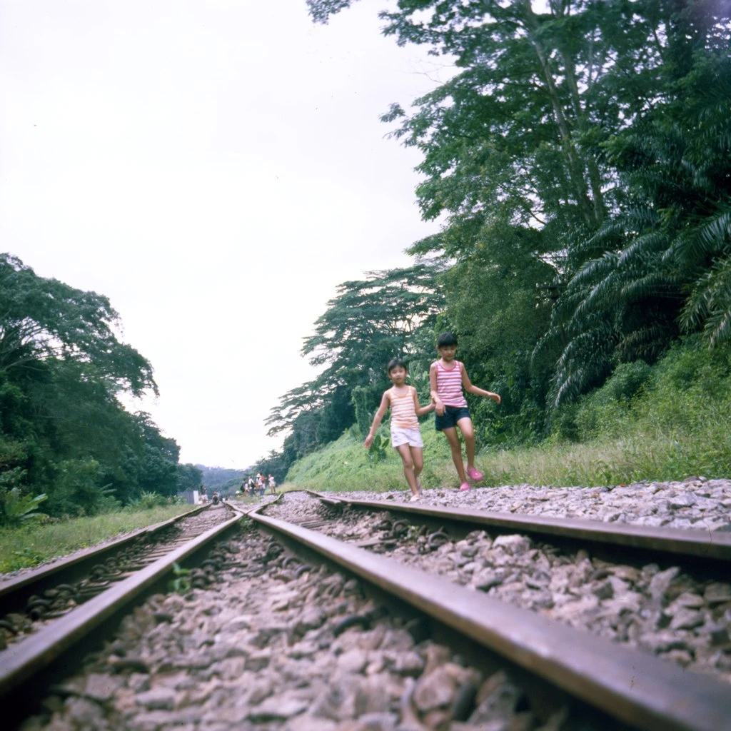 Lomo :: Lubitel 166B 12 Lomo :: Lubitel 166B - Image 10