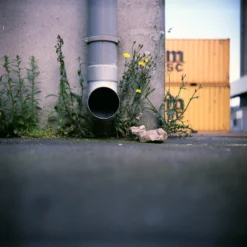 Lomo :: Lubitel 166B 23 Lomo :: Lubitel 166B -Polaroid Store Lubitel Example 4