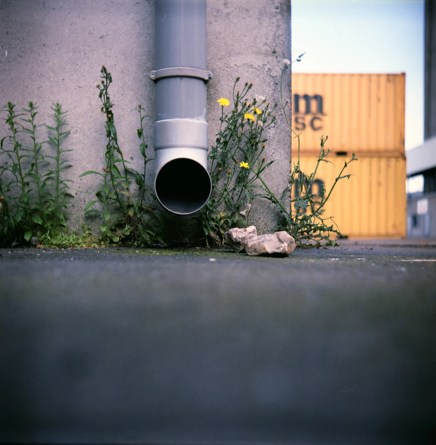 Lomo :: Lubitel 166B 13 Lomo :: Lubitel 166B - Image 11