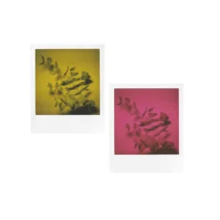 SX-70 Flashbar 2.0 :: By MiNT -Polaroid Store Mint Flash Bar Example Images