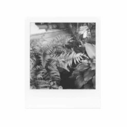 Polaroid 600 :: B&W Film -Polaroid Store Polaroid 600 BW Shanna Hutchins 02