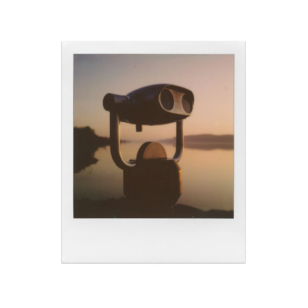 Polaroid 600 :: Color Film - Image 2