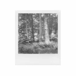 Polaroid Store 32 Polaroid Store -Polaroid Store Polaroid SX 70 BW Shanna Hutchins 02