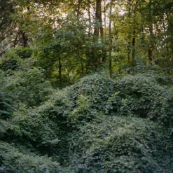 Unique Kodak Portra 160 :: Color -Polaroid Store Portra 160 Ellie Musgrave 4