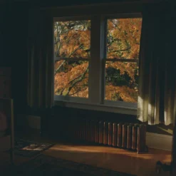 Unique Kodak Portra 800 :: Color -Polaroid Store Portra 800 120 Shanna Hutchins 05