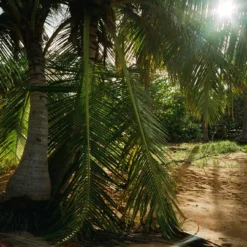 Unique Kodak Portra 800 :: Color -Polaroid Store Portra 800 35mm Shanna Hutchins 04