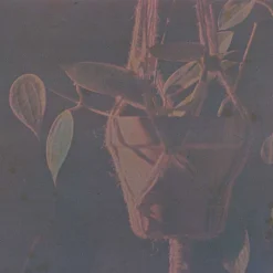 Seagull IR100 :: Color (expired) -Polaroid Store Seeagull 1