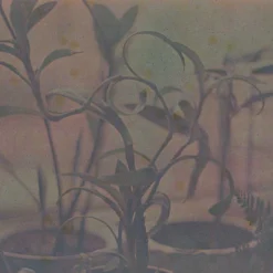 Seagull IR100 :: Color (expired) -Polaroid Store Seeagull 4